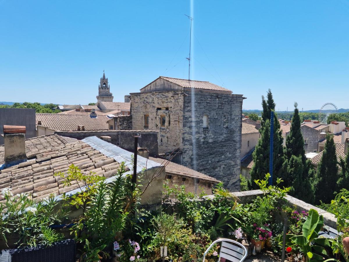 아비뇽 Un Nid Sur Les Toits Face Au Palais Des Papes 아파트 외부 사진