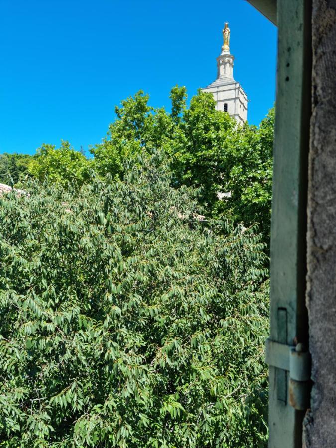 아비뇽 Un Nid Sur Les Toits Face Au Palais Des Papes 아파트 외부 사진