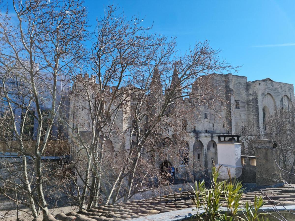 아비뇽 Un Nid Sur Les Toits Face Au Palais Des Papes 아파트 외부 사진