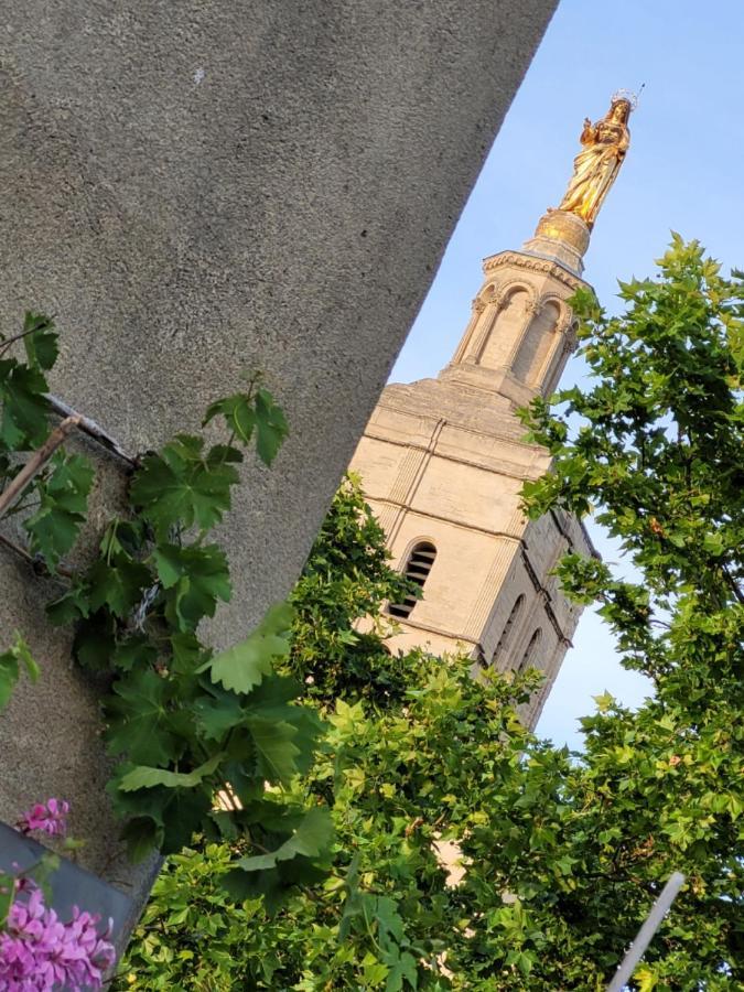 아비뇽 Un Nid Sur Les Toits Face Au Palais Des Papes 아파트 외부 사진