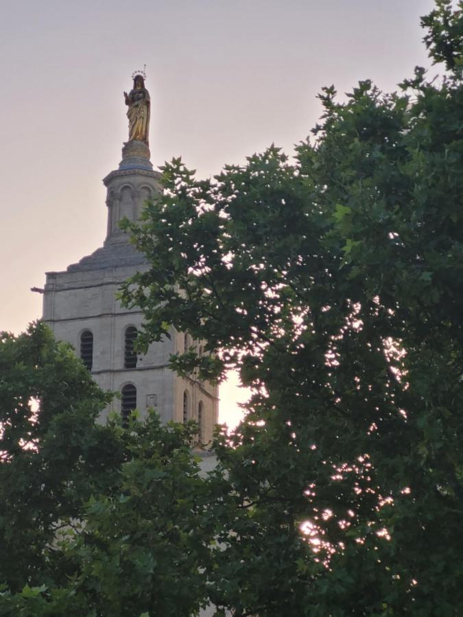 아비뇽 Un Nid Sur Les Toits Face Au Palais Des Papes 아파트 외부 사진