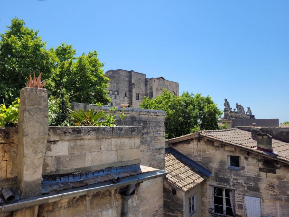 아비뇽 Un Nid Sur Les Toits Face Au Palais Des Papes 아파트 외부 사진