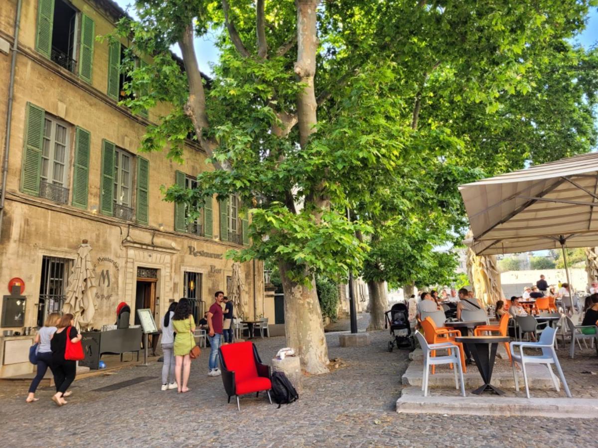 아비뇽 Un Nid Sur Les Toits Face Au Palais Des Papes 아파트 외부 사진