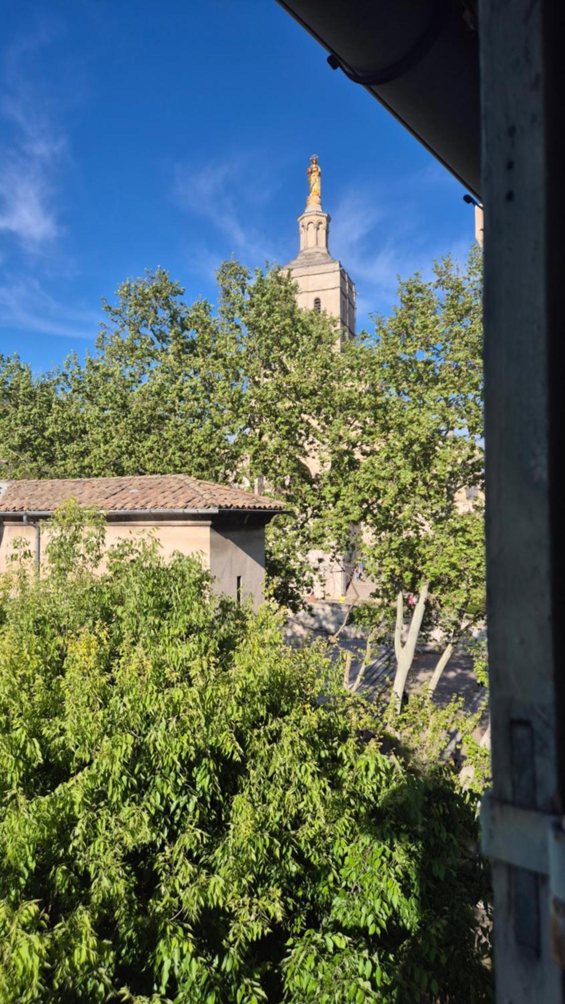 아비뇽 Un Nid Sur Les Toits Face Au Palais Des Papes 아파트 외부 사진