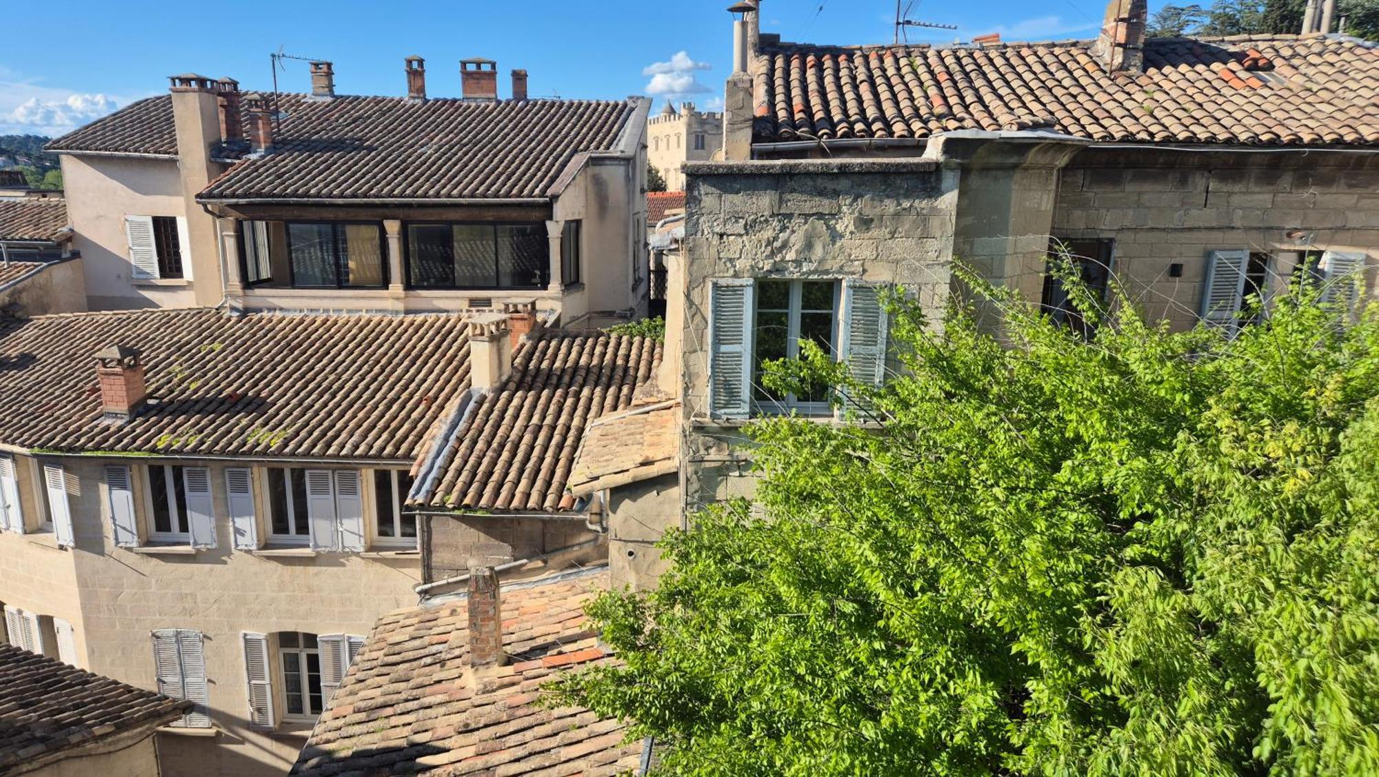 아비뇽 Un Nid Sur Les Toits Face Au Palais Des Papes 아파트 외부 사진